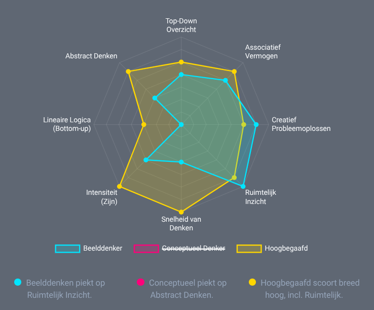 Beelddenken, Conceptueel Denken, Hoogbegaafdheid 